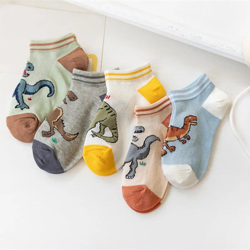 Dinosaur Boys Socks (5 Pairs) -1 to 12 years old