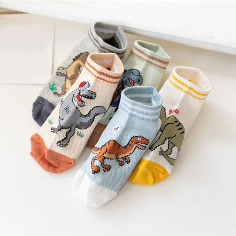 Dinosaur Boys Socks (5 Pairs) -1 to 12 years old